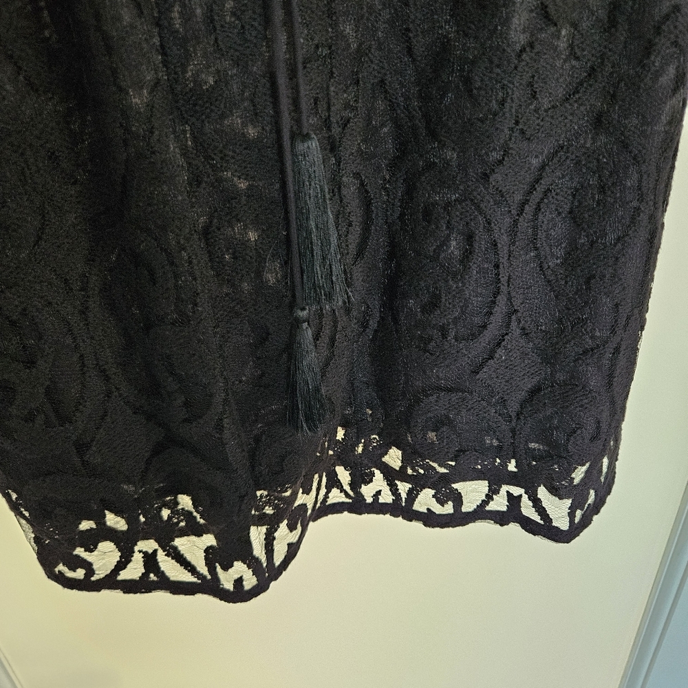 FREE PEOPLE The North Star Dress - Black Lace, Chrystal And Sequin Stars - Picture 6 of 8